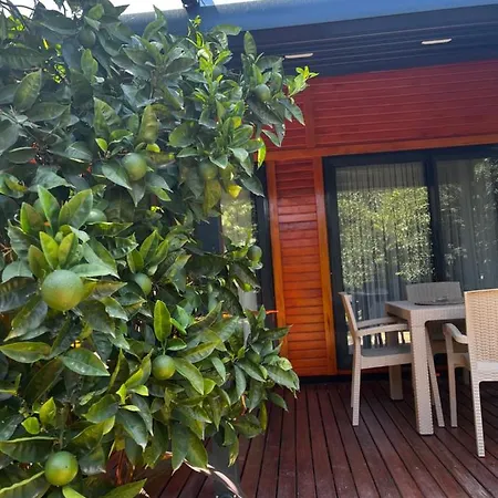 Lägenhetshotell Julya Tiny House Kemer